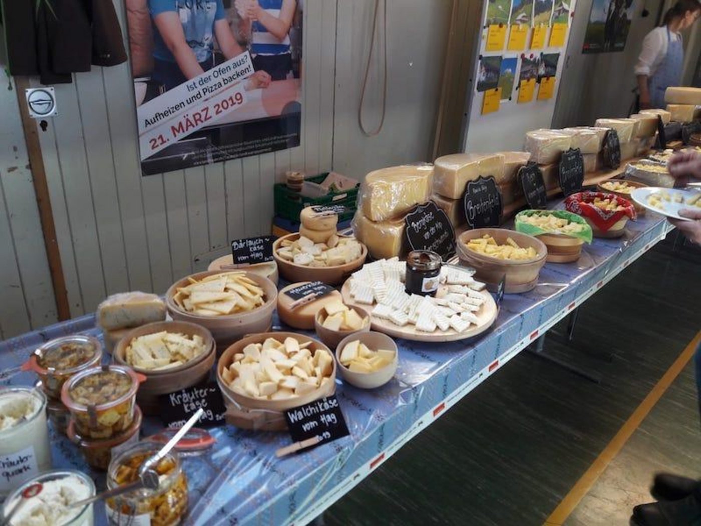 Weltgrösstes Käsebuffet zum «Welttag der Hauswirtschaft» (Bild Sandra Steffen-Odermatt)