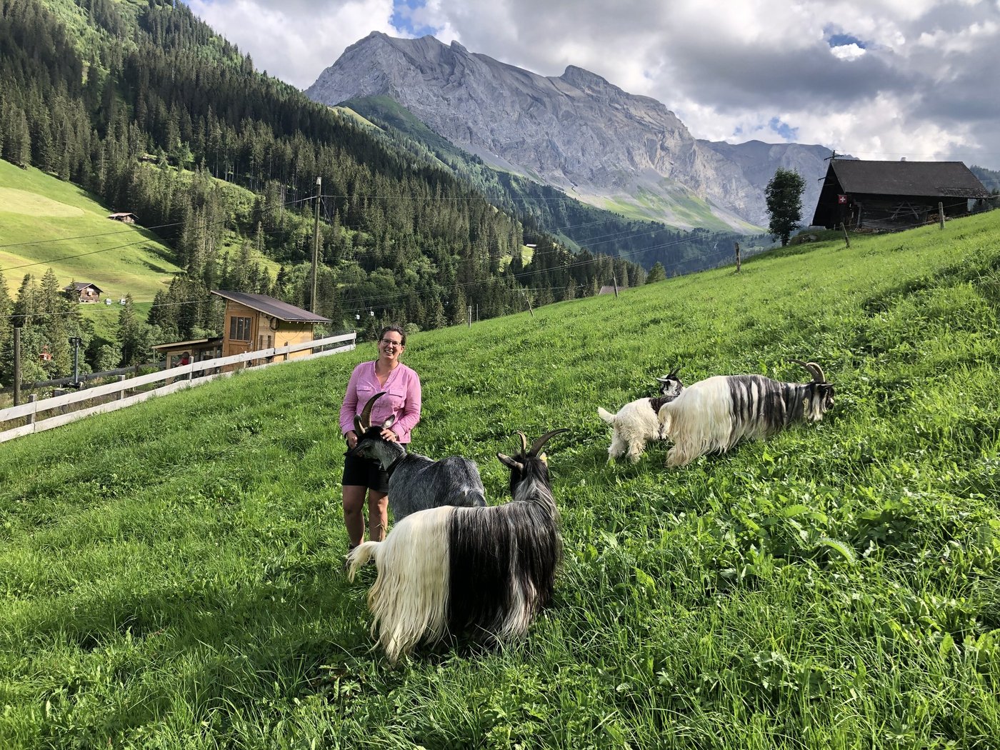 Sabina Bircher ist die Präsidentin des neuen Vereins Capra Sempione, Grüenochte Geiss und Kupferhalsziege. Sie schwärmt von den behuften Landschaftspflegern und ist überzeugt, dass die vom Aussterben bedrohten Rassen vor allem in steilem Gelände einsetzbar sind. (Bild Sabina Bircher)