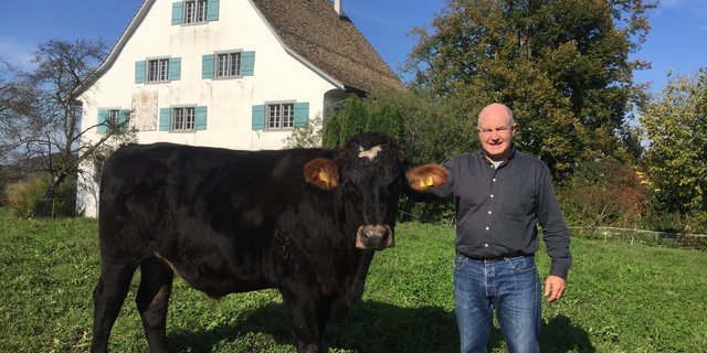 Eric Meili mit Stier Fanjo (Brown Swiss 78 % × Holstein 22 %). Fanjo erreichte in 713 Masttagen auf der Weide ohne Kraftfutter die Taxation T4,  ein Lebendgewicht von 761 kg und ein Schlachtgewicht von 403 kg. Meili selber gehöre zur Klasse  H4, scherzt er. (Bild Eric Meili)