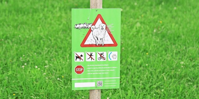 20-mal jährlich kommt es in der Schweiz vor, dass Herdenschutzhunde Menschen beissen. Muss das offizielle Warnschild präziser werden?