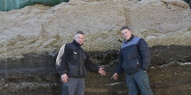 Martin (links) und Simon Wenger vor dem 1300 Kubikmeter grossen Fahrsilo.