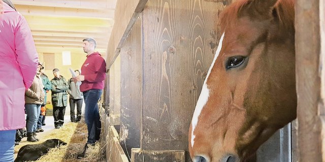 Am Liebegger Pferdetag gab es neben Theorie auch Praxis auf Betrieben, hier auf dem Schryberhof.(Bild rae)