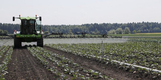 Swisscofel hält die beiden Initiativen für den falschen Weg im Umgang mit Pflanzenschutz. (Bild ji/lid)