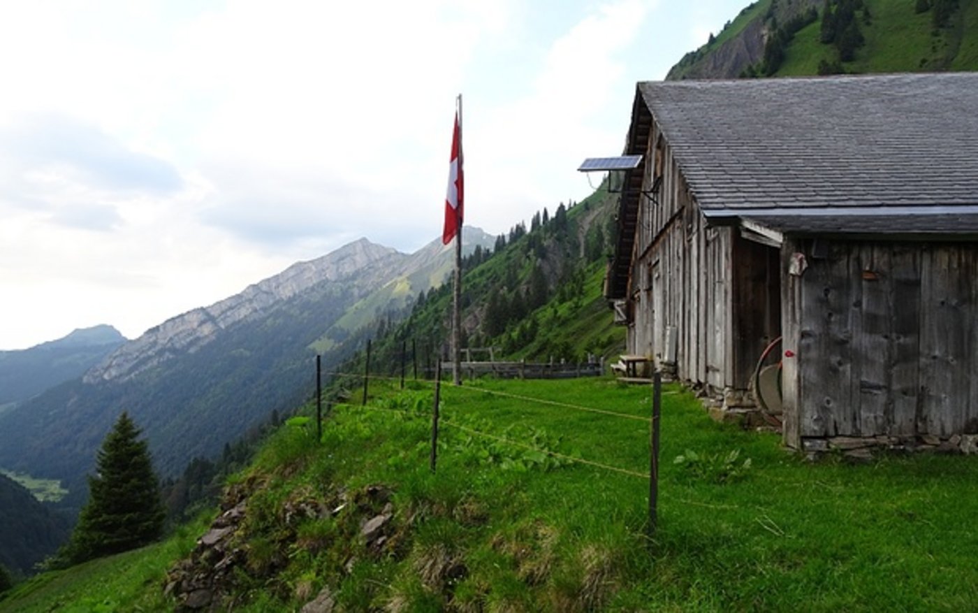 Auf der Alp Fläschen kamen die Schafe ums Leben. (Bild Hikr)
