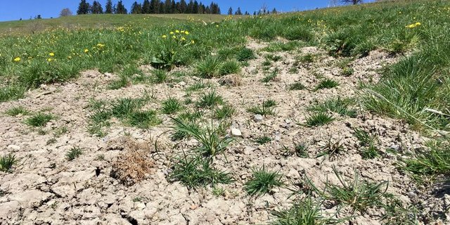 Nach einem warmen Winter folgte in diesem Jahr ein sehr trockener Frühling. (Bild as)