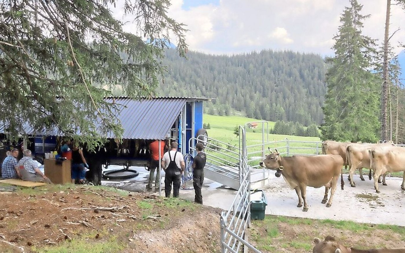 Bisher ist ein mobiler Melkstand auf den Alpen nicht häufig anzutreffen.