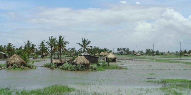 Dieses Jahr fiel in Mozambique besonders viel Regen und setzte riesige Flächen unter Wasser. (Bild Romea Brügger)