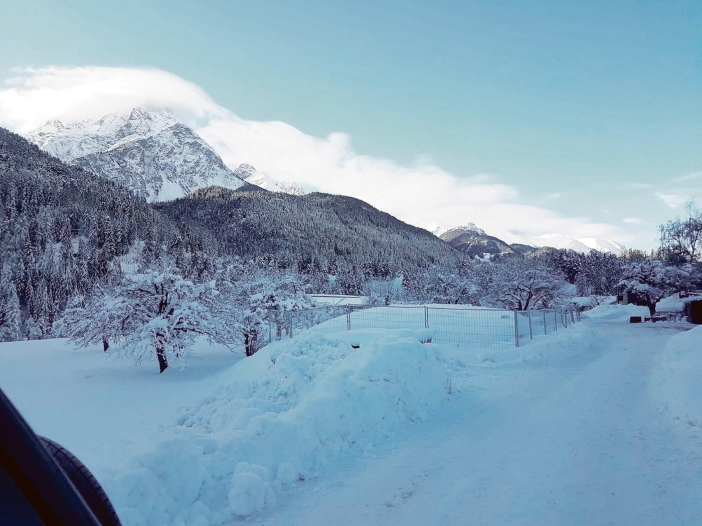 Die Massnahmen, um das Kontaktverbot zwischen Rotwild und Nutztieren umzusetzen, sind aufwendig.(Bild zVg)