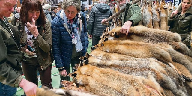 Das Bild täuscht: Am Fälimärt hat es immer weniger Felle. 