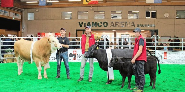Mister Swissopen 2025 wurde der Simmentalstier Akira von Beat Dietrich aus Gals BE. Miss Swissopen bei den Kühen wurde die Dexter-Kuh Bielenhof Sanja aus Erstfeld UR.