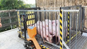 Der selbst gebaute W Der selbst gebaute Warteraum lässt sich leicht von Hand schieben, kann aber auch mit dem Front- oder Pneulader transportiert werden.