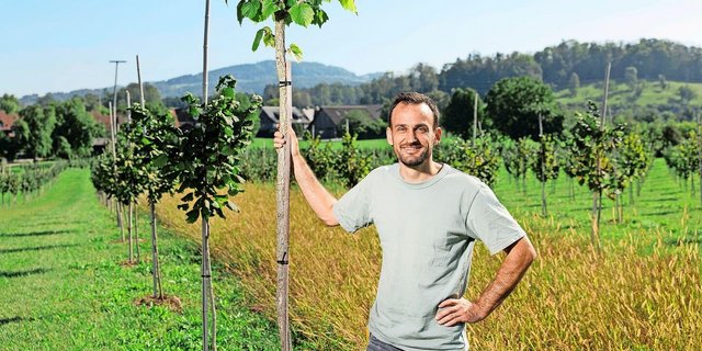 Stefan Gerber in seiner Haselnuss-Anlage. Ab November sind seine Haselnüsse wieder im Handel erhältlich.