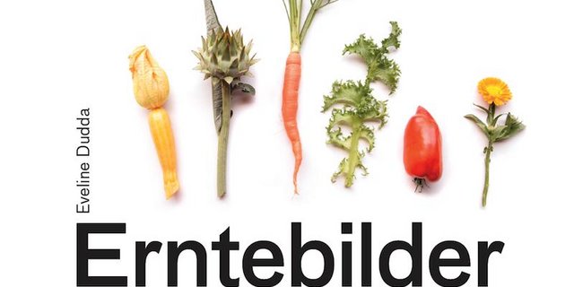 Das Büchlein «Erntebilder» soll auf eine Vielfalt von Gemüse und Salat aus dem eigenen Garten «gluschtig» machen. (Bild zVg/Video et) 