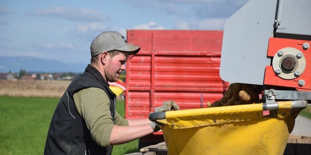 Die Lehre als Landwirt reicht in Zukunft nicht mehr aus, um Direktzahlungen zu erhalten. (Bild Jasmine Baumann)