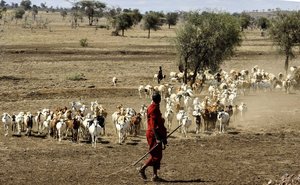 Auswanderer Bäuerinnen und Bauern produzieren in Afrika Lebensmittel, sind aber paradoxerweise besonders von Nahrungsmangel betroffen. (Bild pd)