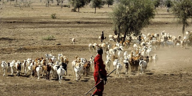 Bäuerinnen und Bauern produzieren in Afrika Lebensmittel, sind aber paradoxerweise besonders von Nahrungsmangel betroffen. (Bild pd)