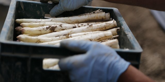 Eine Ausnahme sind Arbeitseinsätze, die maximal 14 Tage dauern. (Bild ji)