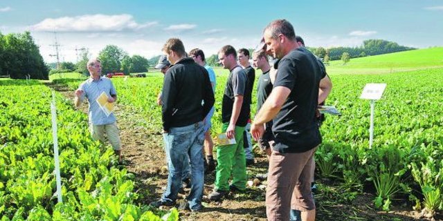Optimaler Hörsaal für Landwirte: Vorlesung auf dem Feld. (Bild Strickhof)