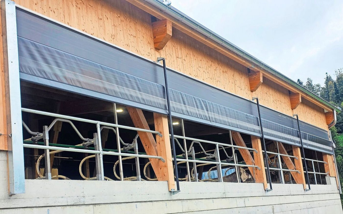 Der Stall von Familie Jud liegt im toggenburgischen Berggebiet. Die Kühe haben eine schöne Aussicht, brauchen aber auch Schutz vor teils garstigem Wetter.