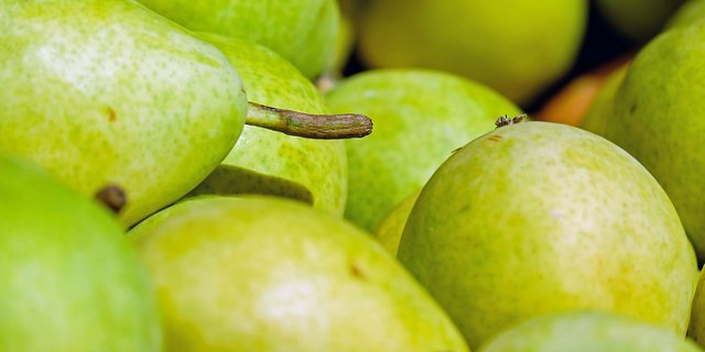 Es herrscht Mostobstflut. (Bild pd)