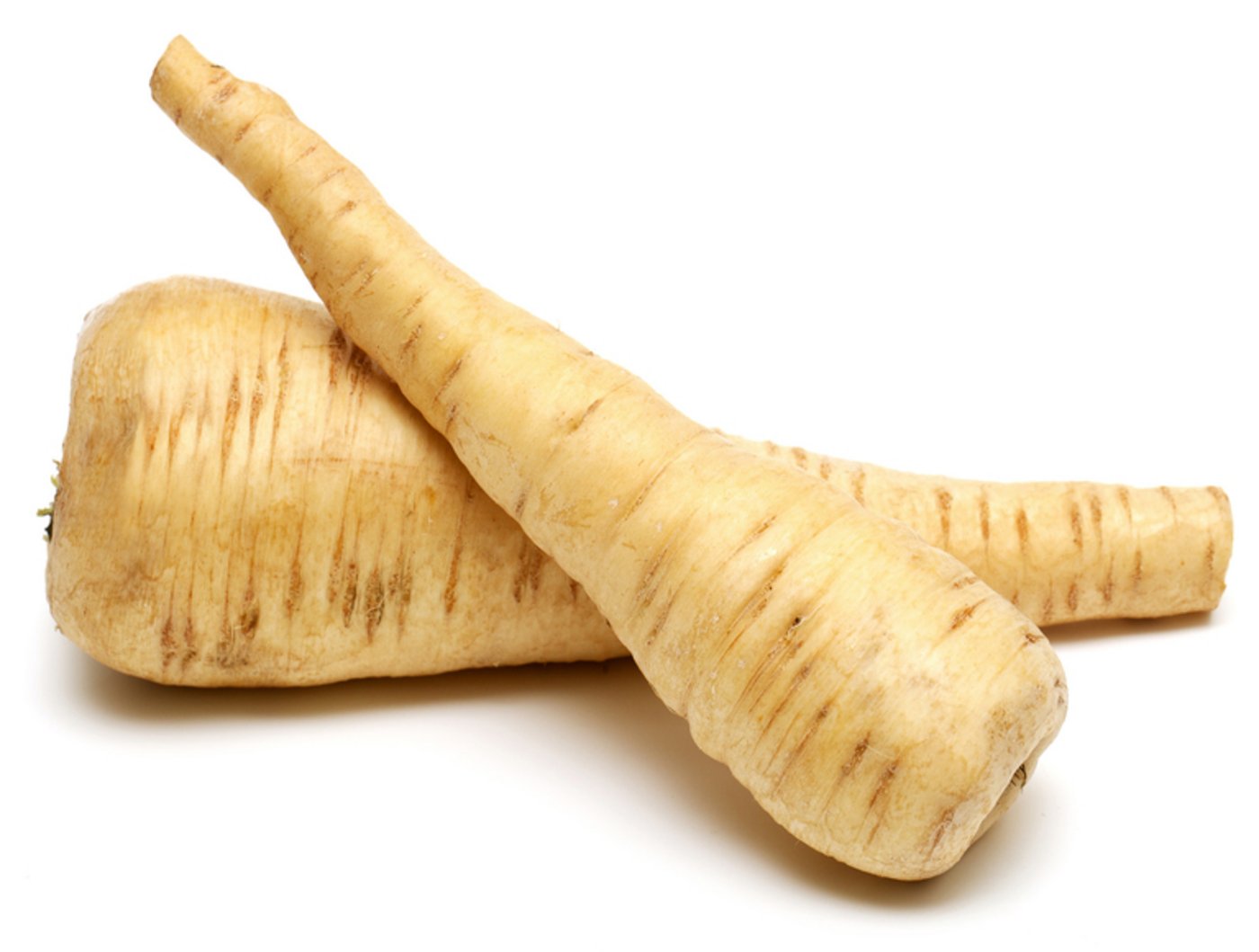 Pastinaken Sehen aus wie weisse Rüben, schmecken ähnlich wie Sellerie oder Kartoffeln: Pastinaken. (vsgp) 