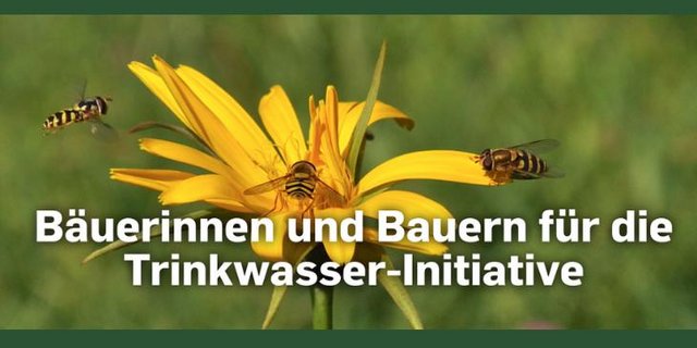 Man freue sich sehr über das bäuerliche Komitee, heisst es im Newsletter der TWI. Es gebe der Initiative eine weitere starke Stimme. (Bild Screenshot Website bäuerliches Komitee)