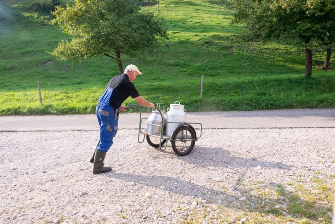 Die Corna-Krise schüttelt den Milchmarkt durch. Das könnte sich positiv auf die Produzenten von Biomilch auswirken. (Symbolbild BauZ)