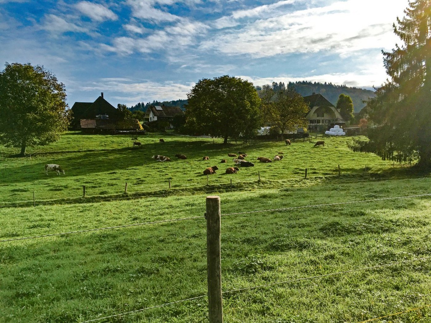 Kleinräumige, ökologische Landwirtschaft ist arbeitsintensiv. Das kann eine Chance sein, wenn andere Branchen wegen des technischen Fortschritts weniger Arbeitskräfte brauchen. (Bild jsc)