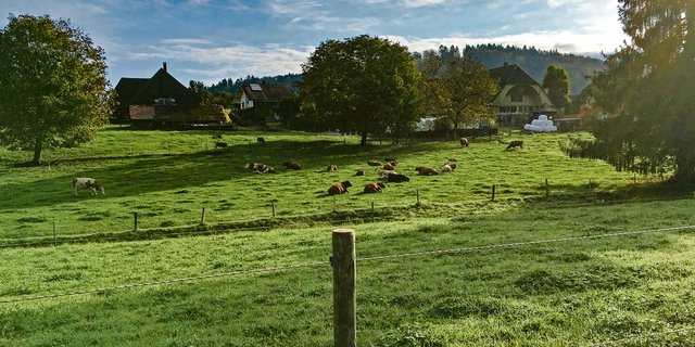 Kleinräumige, ökologische Landwirtschaft ist arbeitsintensiv. Das kann eine Chance sein, wenn andere Branchen wegen des technischen Fortschritts weniger Arbeitskräfte brauchen. (Bild jsc)