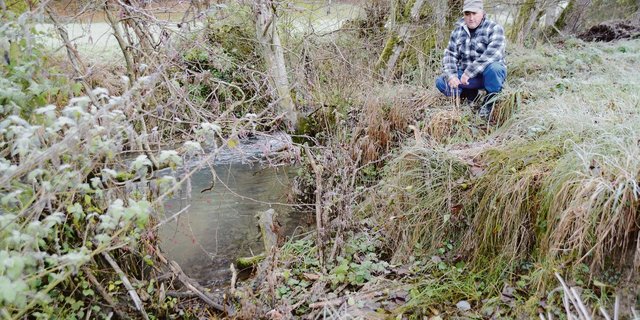 Der Bach wird immer breiter. An mehreren Stellen auf dem Land von Andreas Sägesser entstanden aufgrund von Grabungen der Biber Buchten.(Bild Armin Emmenegger)