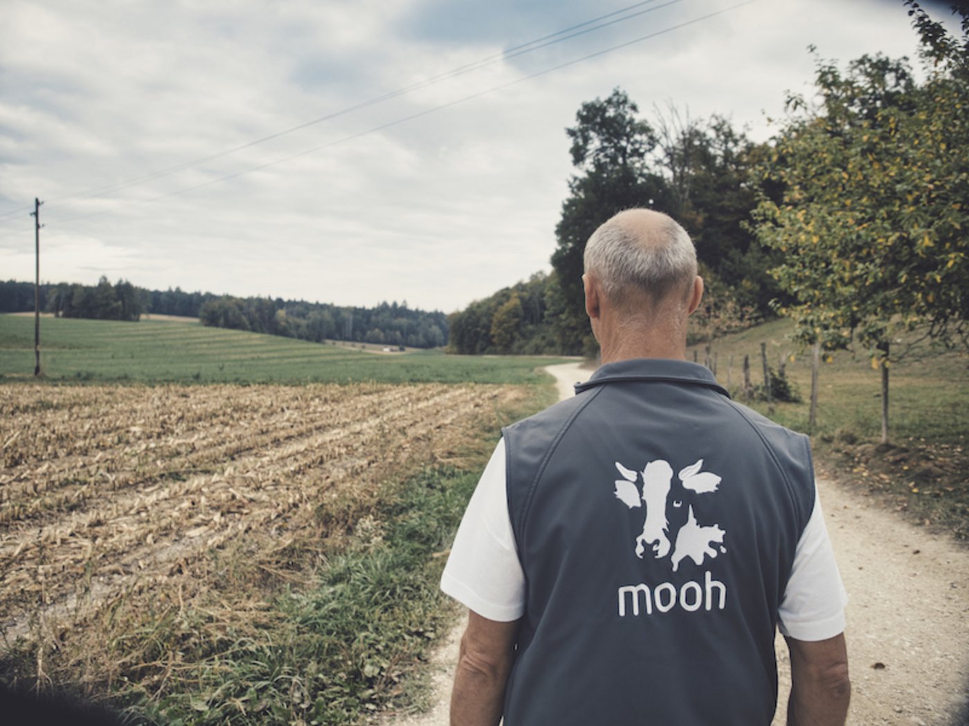 BIs am 30. November können sich Mooh-Produzenten für das Planungsmodell anmelden, schreibt die Genossenschaft. (Bild Phil Bucher/Mooh)