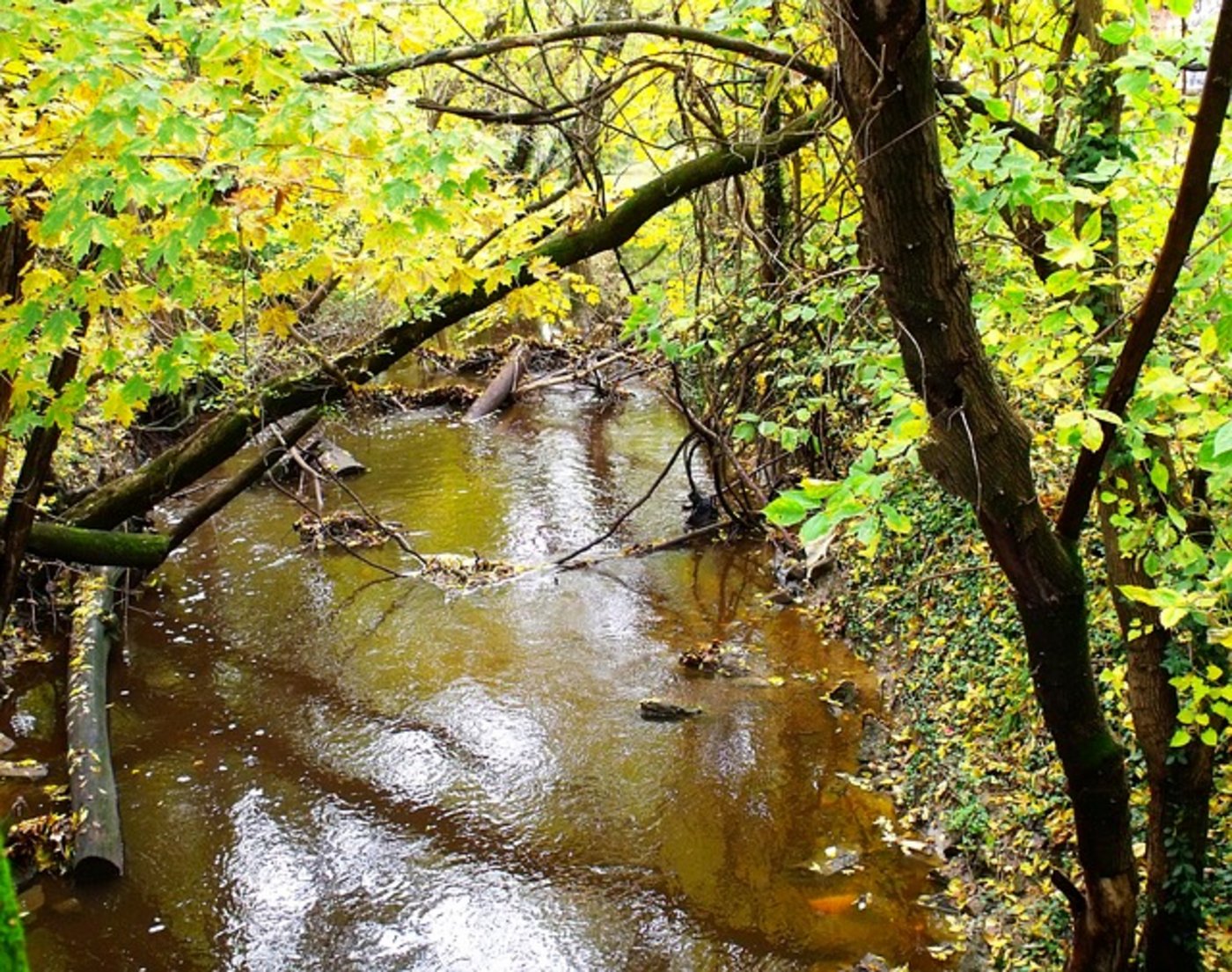 Die Flüsse und Bächer führen zur Zeit wenig Wasser. (Bild Solothurner Bauernverband)