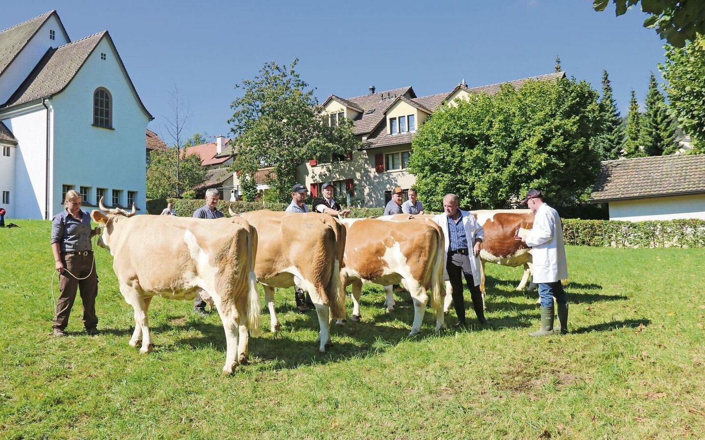 In der Klasse mit drei Abschlüssen gewinnt Helene, die von der Besitzerin Miriam Singer vorgeführt wird. 