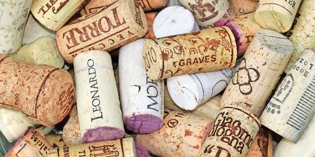 Weiterverwerten statt wegwerfen: In der Fruchtschale leisten Korkzapfen gute Dienste gegen lästige Insekten. 