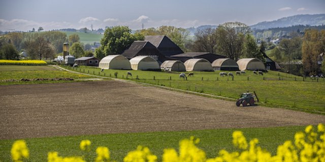 Der Betrieb von Fredy Schmied und Iwan Tretow in Säriswil BE. Schmied behandelt die Tiere in Absprache mit Tierarzt Oskar Luder mit Homöopathie. Bild: Pia Neuenschwander