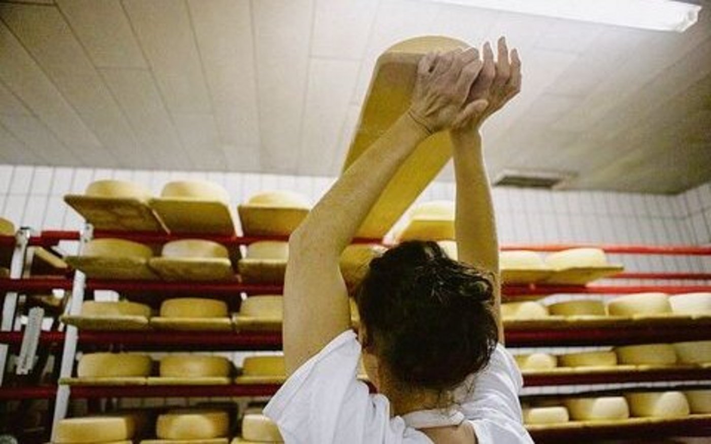 Ergebnis der vielen Arbeit: köstlicher Alpkäse.