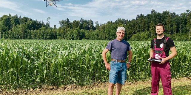 Landwirt Matthias Schälchli (links) mit Drohnenpilot Thomas Widmer, während die Drohne automatisch das Maisfeld abfliegt und Trichogramma-Kugeln abwirft. (Bilder Katrin Erfurt)