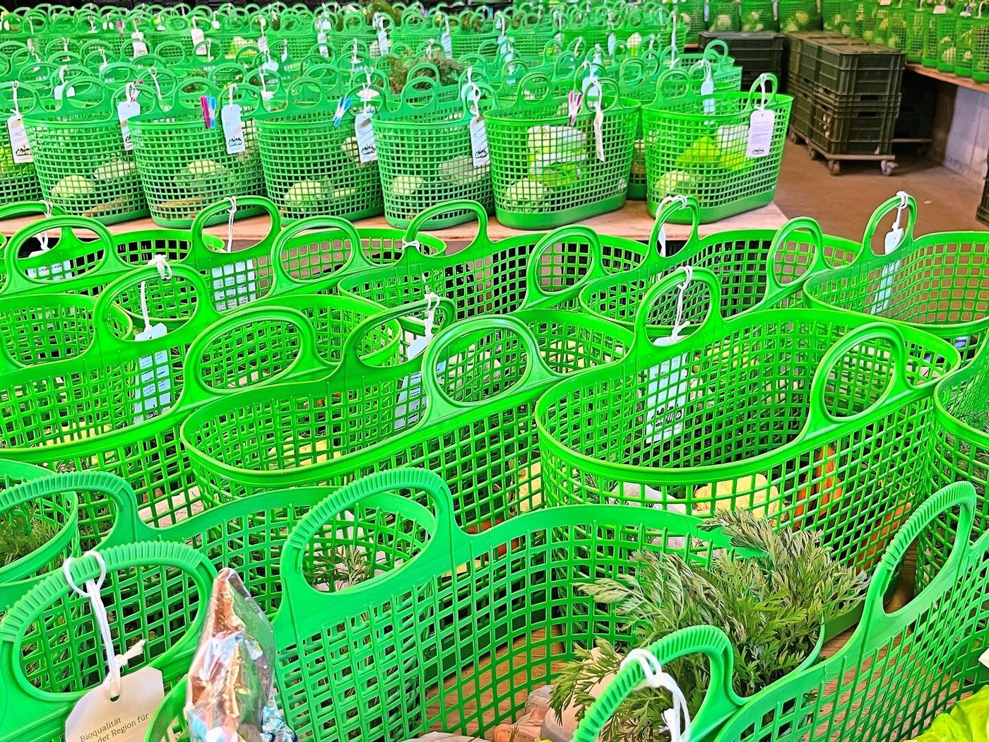 Das Packen der Bio-Mio-Gemüsekörbe gehört zu den Aufgaben, die Regula Doppmann gemeinsam mit den Klientinnen und Klienten erledigt.