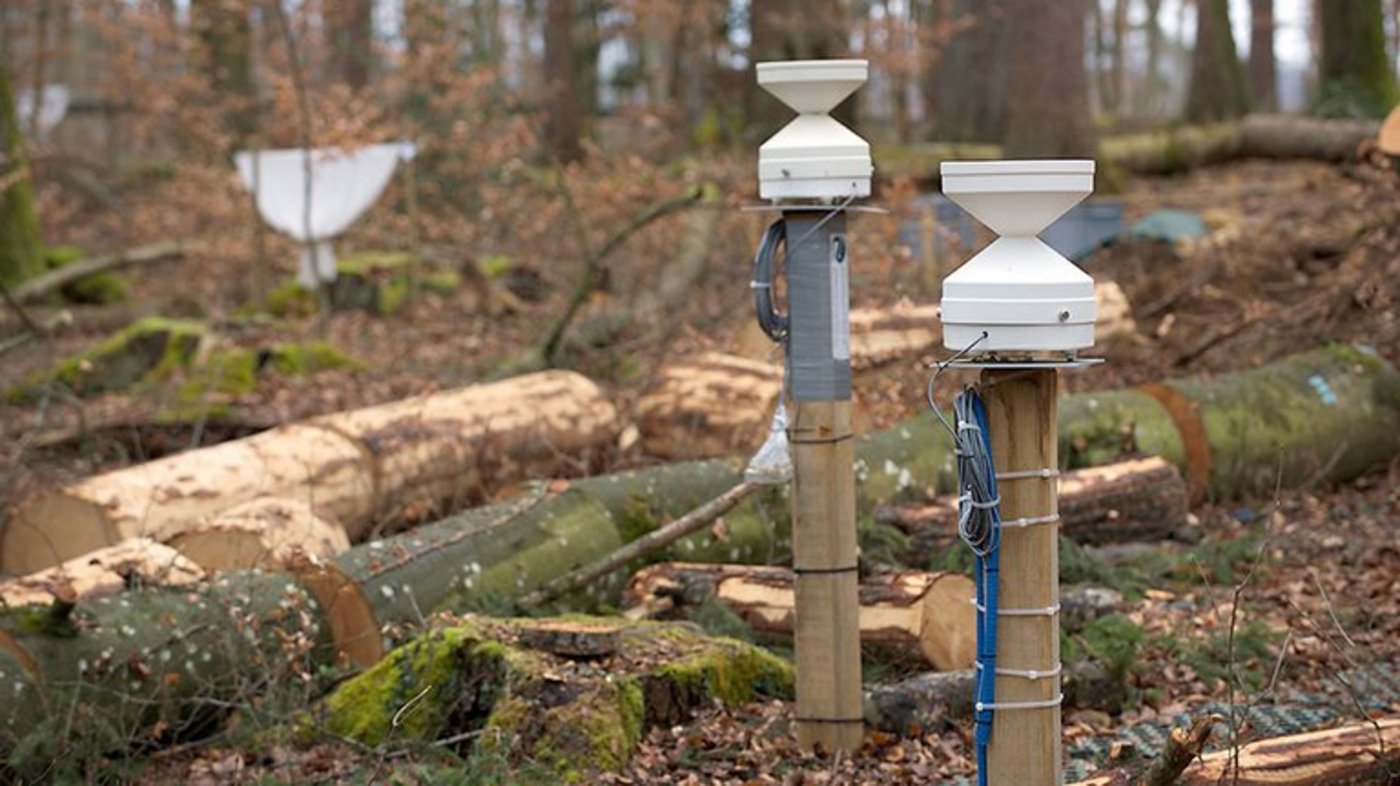 Regenmesser erfassen die Niederschlagsmenge. (Universität Basel)