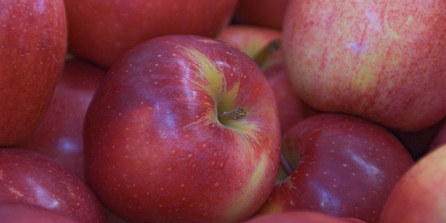 Symbolbild. (Bild lid)