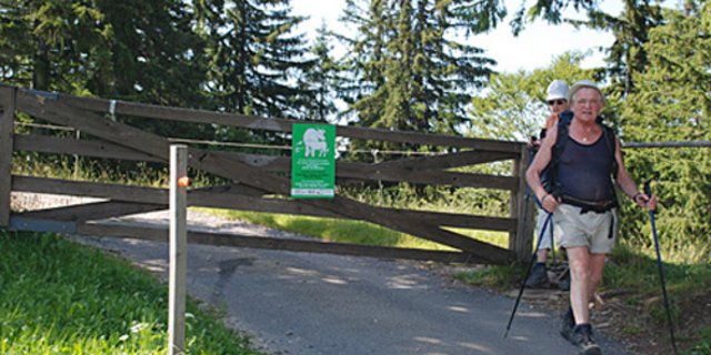 Die offizielle Warntafel der BUL macht Wandernde auf den Mutterinstinkt der Kühe aufmerksam. (Bild BUL)