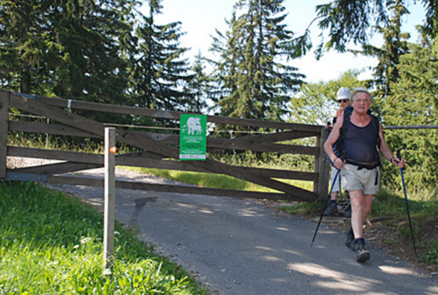Die offizielle Warntafel der BUL macht Wandernde auf den Mutterinstinkt der Kühe aufmerksam. (Bild BUL)