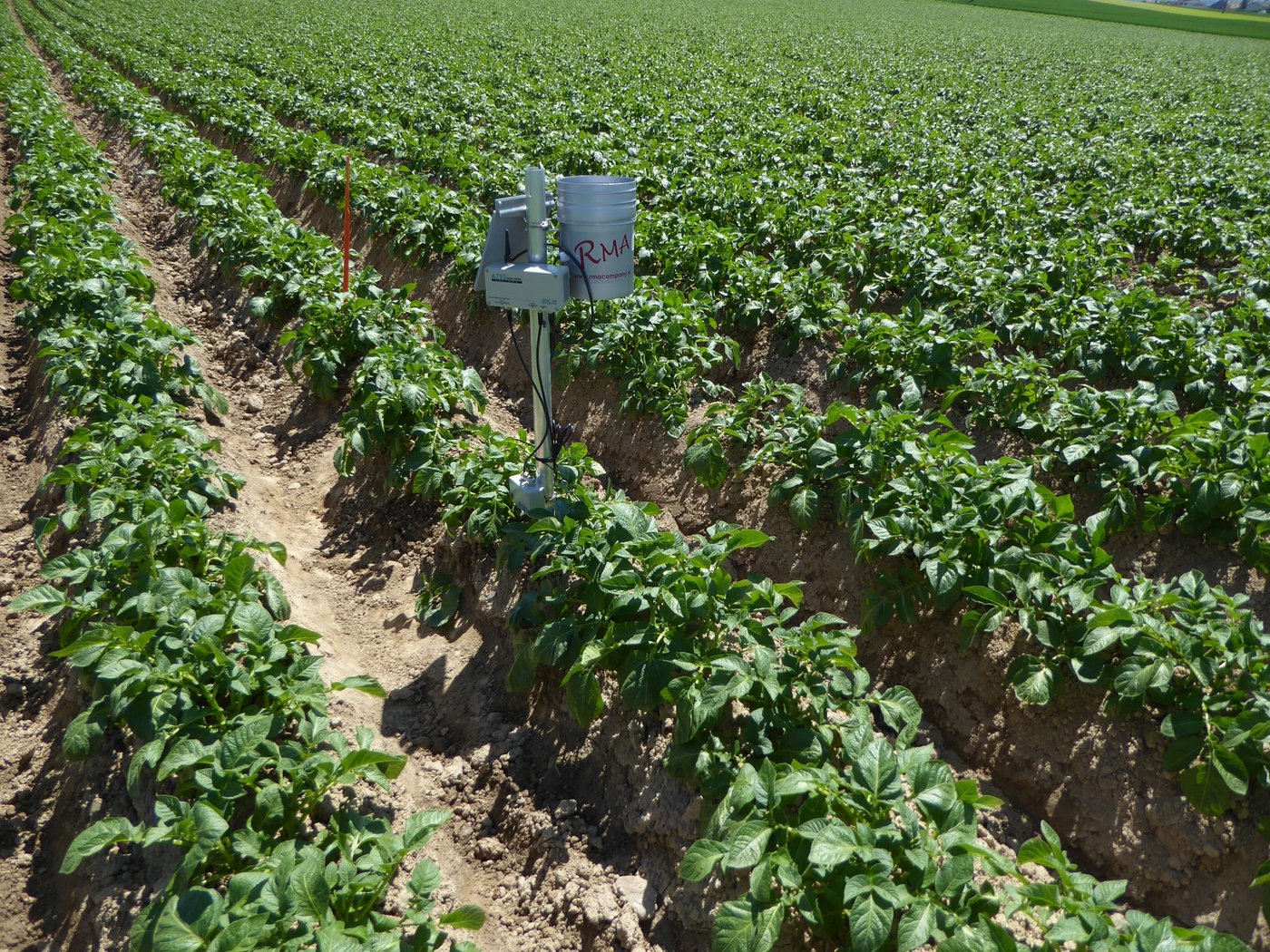 Die Bodensonde ermittelt den Wassergehalt im Wurzelraum. (Bild HAFL)