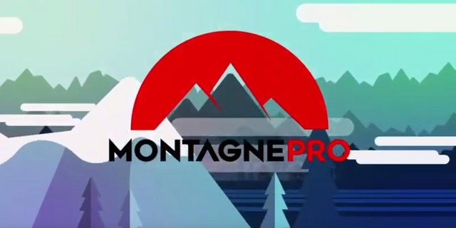 Über die Plattform "BergPro" können Bergführer, Schneesportlehrerinnen, Wanderleiter, Kletterlehrerinnen sowie Canyoning- und Raftingführer nun in einem digitalen Verfahren eine Berufsausübungsbewilligung erhalten. (Bild Screenshot Youtube/Fondation The Ark)