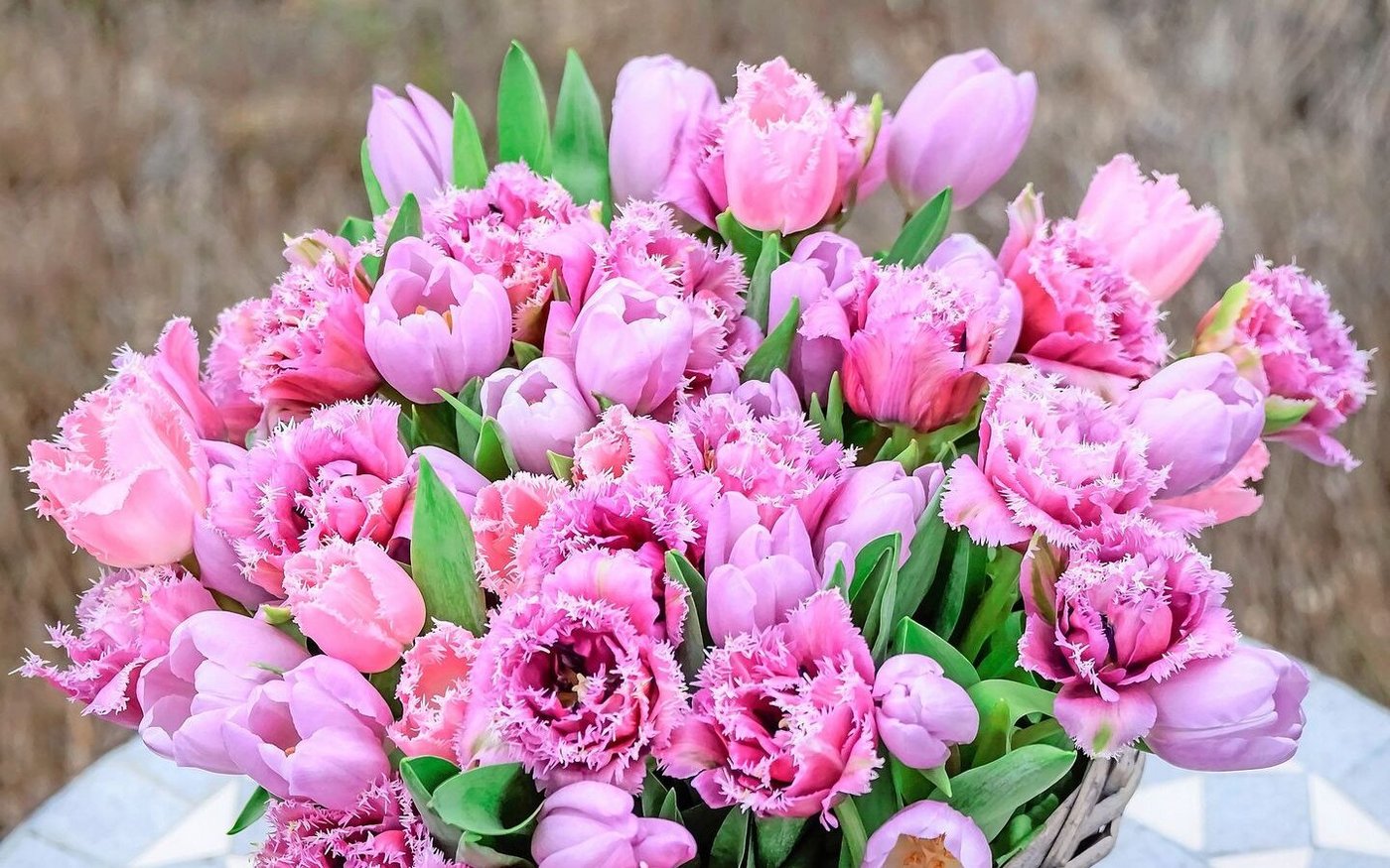 Farbenfreude im Frühling: Ein Ton-in-Ton-Strauss mit unterschiedlichen Tulpen. In der Saison 2025 sind gefüllte und gefranste Tulpen angesagt.   