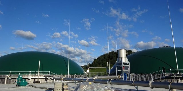 Der politische Wille, Biomassenanlagen einen festen Platz in der Energiepolitik einzuräumen, scheint vorhanden. (Bild aem)