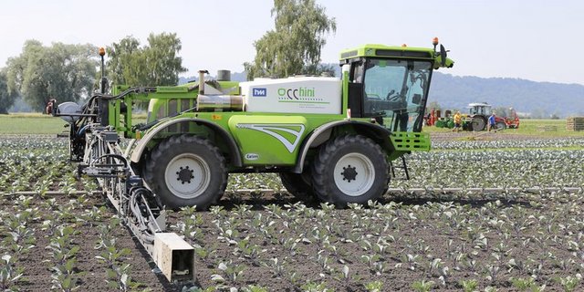 Den Bauern werde der Schwarze Peter zugeschoben, obwohl auch die Politik versagt habe, sind sich Online-Leser von 20 Minuten einig. (Symbolbild lid/ ji)