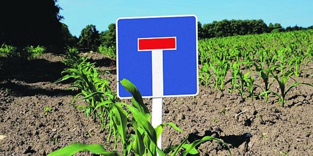 Die Schweiz ist zumindest bis 2017 GVO-frei. Auch in der EU ist man skeptisch: Im Jahr 2013 haben acht EU-Mitgliedstaaten den Anbau von GVO in ihrem Hoheitsgebiet verboten. (Bildmontage BauZ/Fotolia)