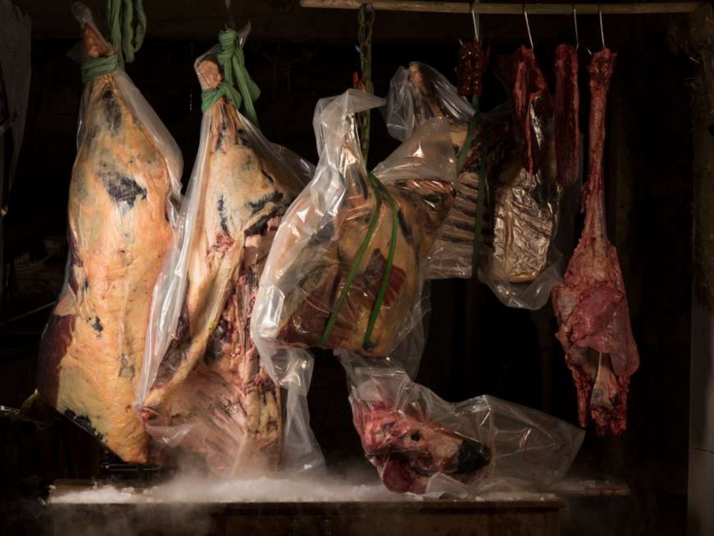 Die Künstlerin Sandra Knecht hat ein ganzes Galloway-Rind vakuumiert und dann mit den Innereien zu einem Kunstwerk arrangiert. (Bild Katharina Lütscher)