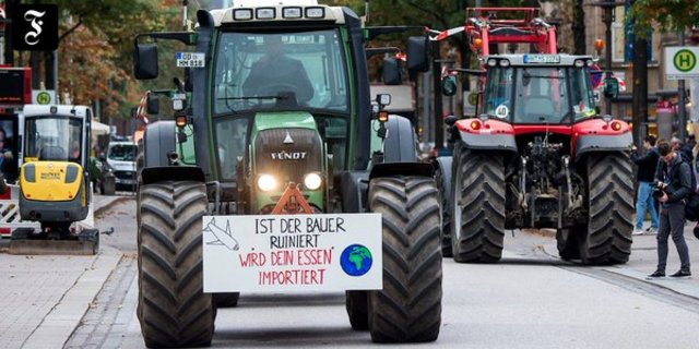 Die Demo in Hamburg war lange vorher geplant gewesen. (Bild FAZ Wirtschaft/ Twitter)